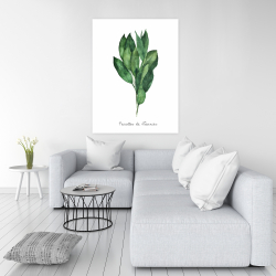 Canvas 36 x 48 -  bay leaves bundle - fr