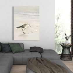 Canvas 36 x 48 - Semipalmated sandpiper on the beach