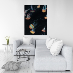 Canvas 36 x 48 - Colorful jellyfishes swimming in the dark