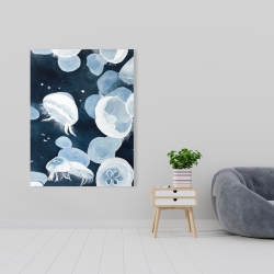 Canvas 36 x 48 - Jellyfishs