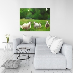 Toile 36 x 48 - Champ de moutons