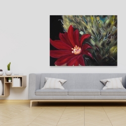 Toile 36 x 48 - Fleur rouge de cactus echinopsis