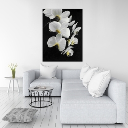 Canvas 36 x 48 - Beautiful orchids