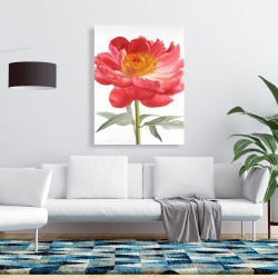 Canvas 36 x 48 - Pink peony