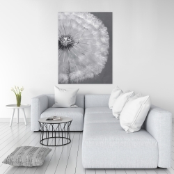 Canvas 36 x 48 - Dandelion puff ball