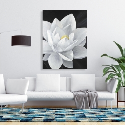 Toile 36 x 48 - Vue de haut d'une fleur de lotus