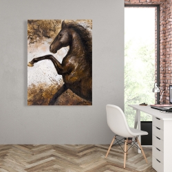 Toile 36 x 48 - Cheval ruant dans la terre