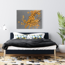 Canvas 36 x 48 - Golden wattle plant with pugg ball flowers