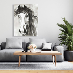 Canvas 36 x 48 - Beautiful wild horse