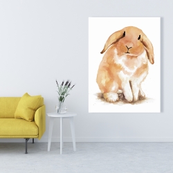 Toile 36 x 48 - Lapin bélier