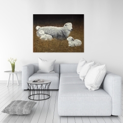 Canvas 36 x 48 - Sheep and lambs