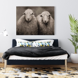 Canvas 36 x 48 - Sheep sepia