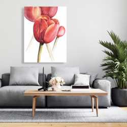 Canvas 36 x 48 - Blossoming tulips closeup