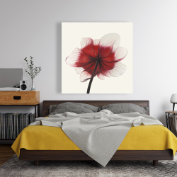 Toile 48 x 48 - Fleur anémone rouge