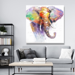 Toile 48 x 48 - Magnifique éléphant coloré