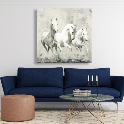 Toile 48 x 48 - Trois chevaux blancs à la course