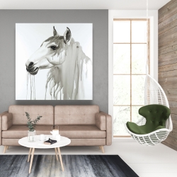 Canvas 48 x 48 - Beautiful white horse