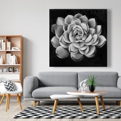 Canvas 48 x 48 - Black and white succulent