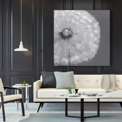 Canvas 48 x 48 - Dandelion puff ball