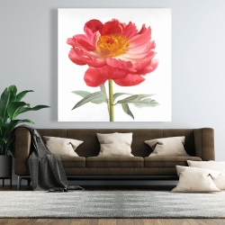 Canvas 48 x 48 - Pink peony