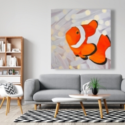 Canvas 48 x 48 - Clownfish