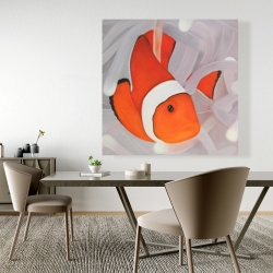 Canvas 48 x 48 - Clownfish under the sea