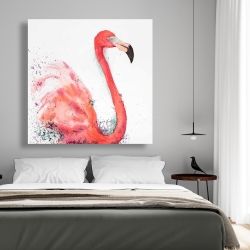 Toile 48 x 48 - Flamant rose éclaboussant