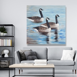 Canvas 48 x 48 - Canada geese in water