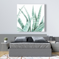 Toile 48 x 48 - Plante désertique rayée à l'aquarelle