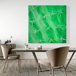 Toile 48 x 48 - Gros plan d'un cactus