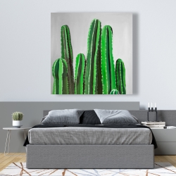 Toile 48 x 48 - Cactus cierges