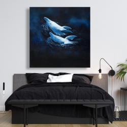 Canvas 48 x 48 - Two swimming dolphins