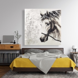 Toile 48 x 48 - Alpha le cheval blanc