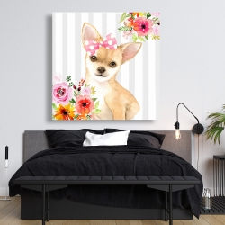 Toile 48 x 48 - Coquet chien chihuahua