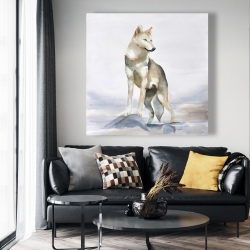 Canvas 48 x 48 - Wolf