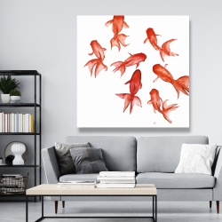 Toile 48 x 48 - Poissons rouge