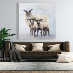 Toile 48 x 48 - Famille de moutons