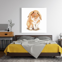 Toile 48 x 48 - Lapin bélier