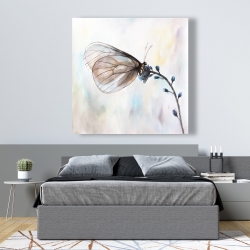 Canvas 48 x 48 - Butterfly on blue flowers