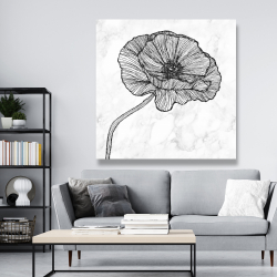 Canvas 48 x 48 - Bright poppy flower