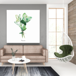 Canvas 48 x 48 - Tied up basil leaves bundle - fr