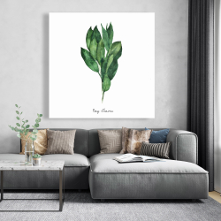 Canvas 48 x 48 - Bay leaves bundle -en