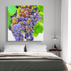 Toile 48 x 48 - Bouquet de raisins