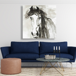 Canvas 48 x 48 - Beautiful wild horse