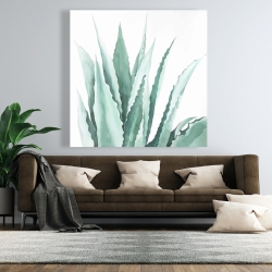 Canvas 48 x 48 - Watercolor agave plant