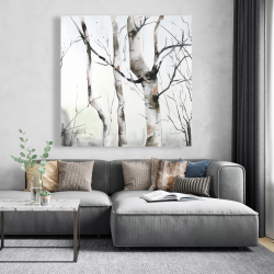 Canvas 48 x 48 - Three birches trees