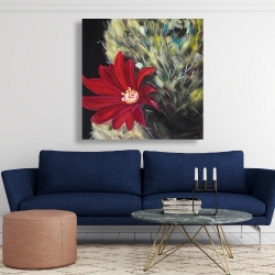 Toile 48 x 48 - Fleur rouge de cactus echinopsis