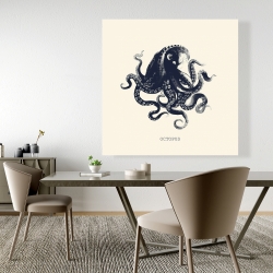 Canvas 48 x 48 - Octopus