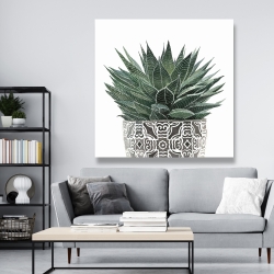 Toile 48 x 48 - Succulent haworthia