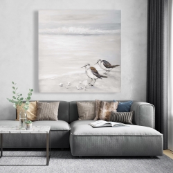 Canvas 48 x 48 - Two sandpipiers birds